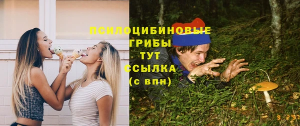 PSILOCYBIN Алзамай