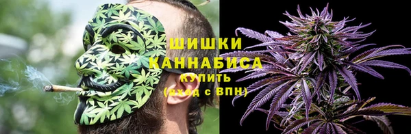 прущие грибы Абдулино