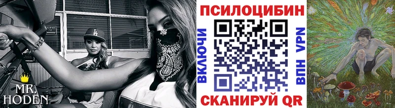 Галлюциногенные грибы Psilocybine cubensis  Алзамай 